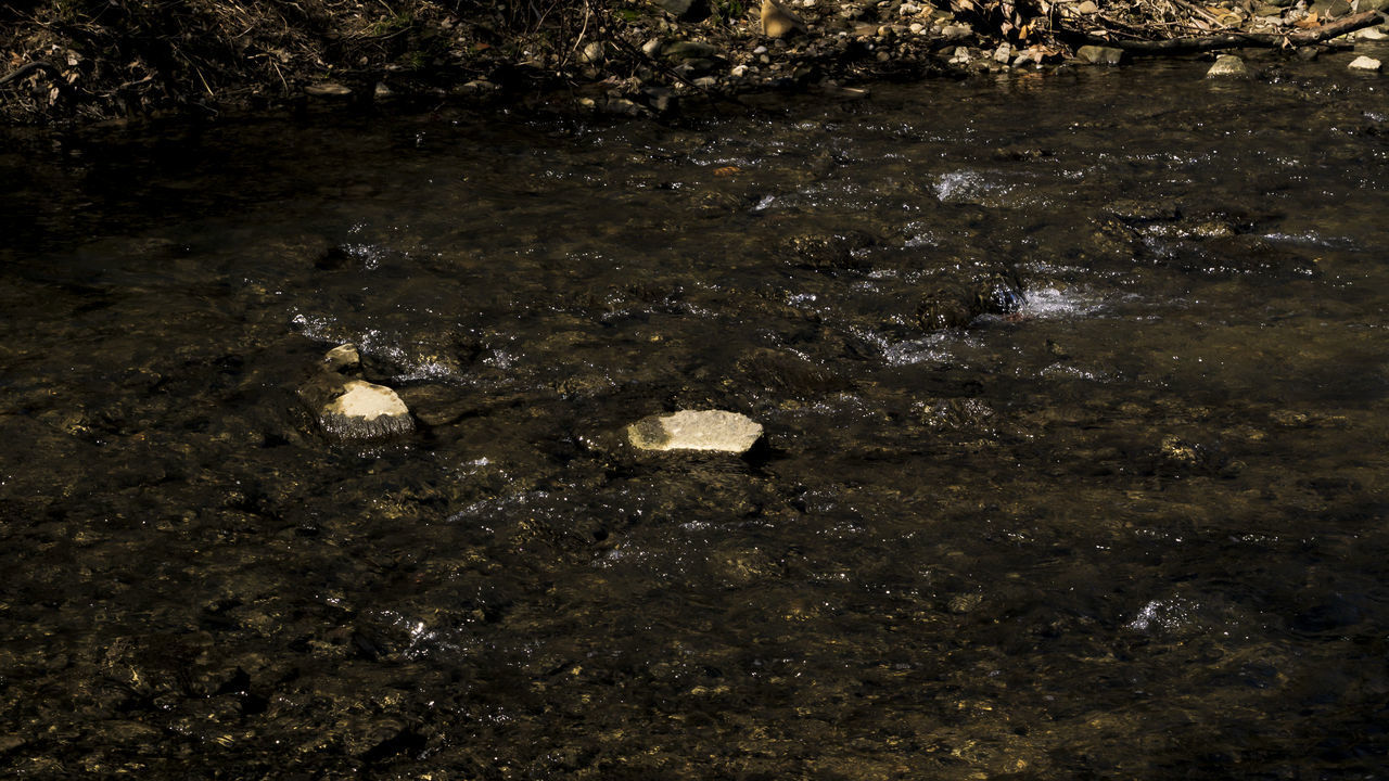 FULL FRAME SHOT OF WATER WITH MUD