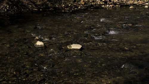 Full frame shot of water