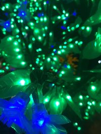 Low angle view of illuminated christmas tree at night