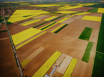 High angle view of agricultural field