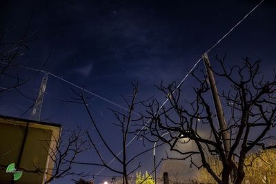 Low angle view of bare trees against blue sky