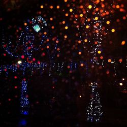 Close-up of illuminated christmas lights