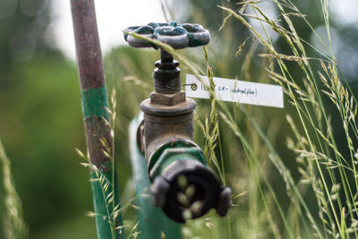 Close-up of sprinkler at farm