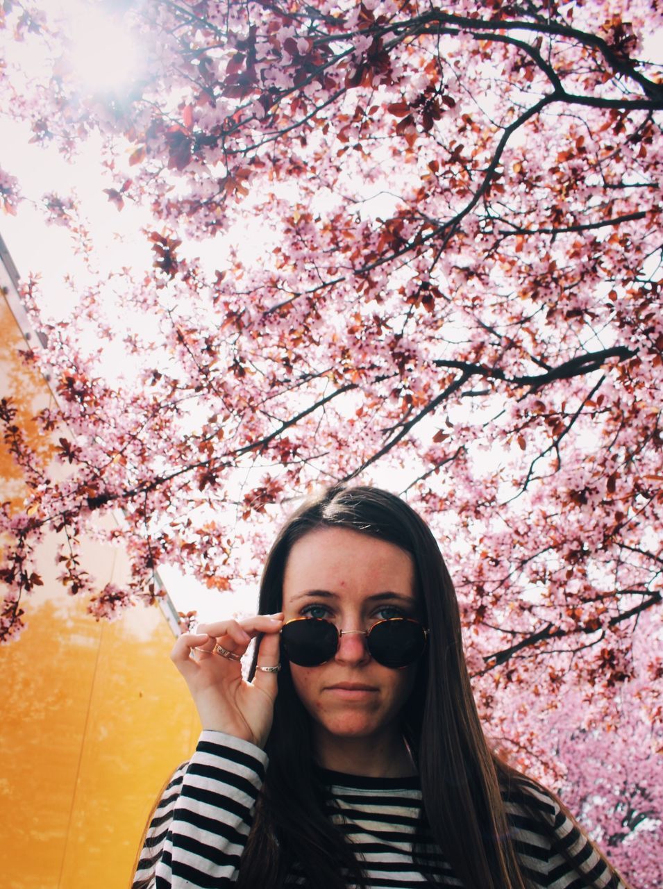 tree, glasses, plant, one person, portrait, front view, real people, sunglasses, young adult, flower, fashion, lifestyles, headshot, flowering plant, leisure activity, pink color, nature, fragility, young women, standing, hairstyle, hair, springtime, outdoors, cherry blossom, cherry tree