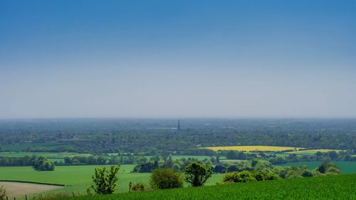 Scenic view of field against clear sky