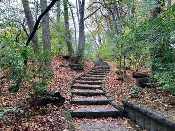 Staircase amidst trees in forest