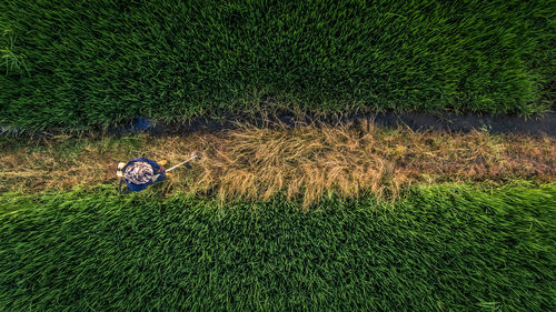 High angle view of man on field