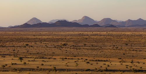 Scenic view of desert against sky