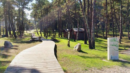 Footpath in park