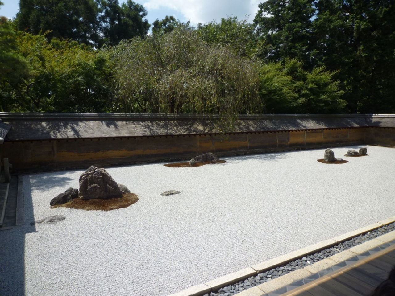 VIEW OF A CAT ON ROCK