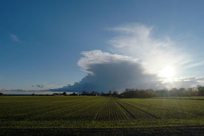 Scenic view of field against sky