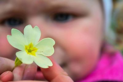 Close-up portrait of woman holding pink flower