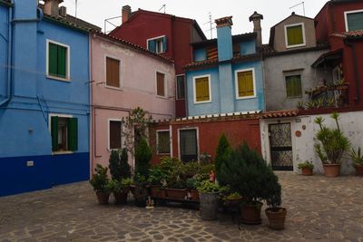 Potted plants on street by building against sky