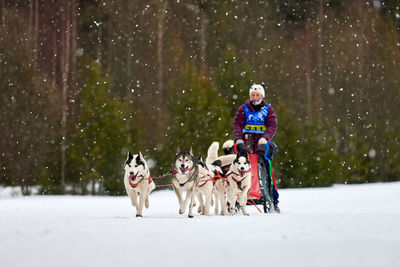 Full length of a dog on snow covered landscape