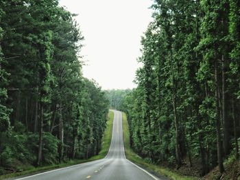 Road amidst trees in forest against sky