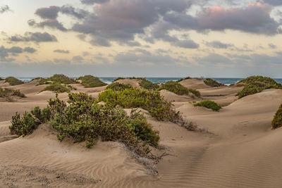 Scenic view of beach against sky