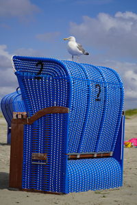 Seagull perching on chair