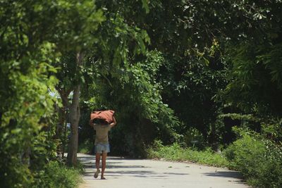 Full length rear view of man carrying container over head while walking on road amidst trees