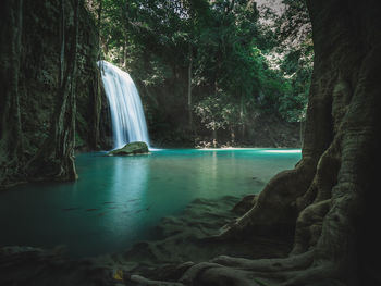 Scenic view of waterfall in forest