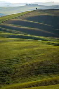 Scenic view of grassy field