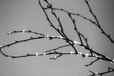 Close-up of snow against clear sky