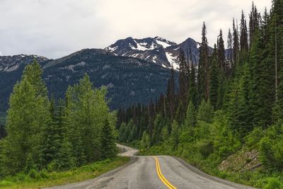 Road amidst plants and mountains against sky