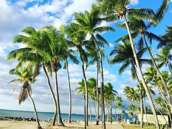 Palm trees on beach against sky