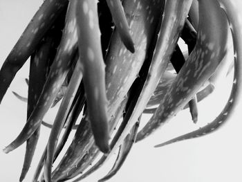 Close-up of hands against sky