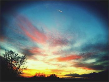 Silhouette of trees at sunset