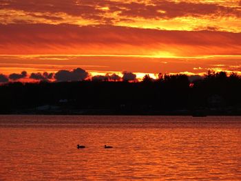 Scenic view of sea at sunset