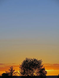 Silhouette trees against sky during sunset