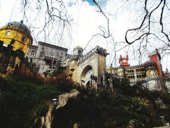 View of buildings against bare trees