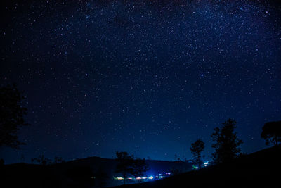 Low angle view of silhouette trees against star field at night