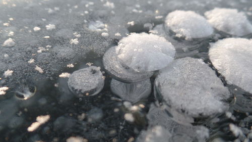 Close-up of snow on shore