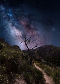 Scenic view of landscape against sky at night