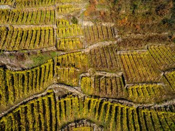 Full frame shot of farm