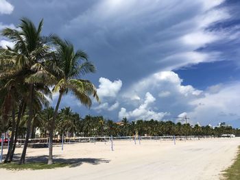 Trees on beach against cloudy sky