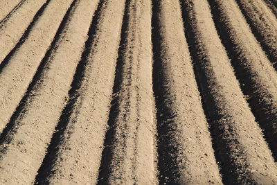 Full frame shot of agricultural field