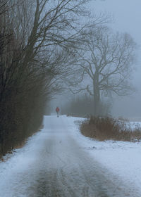 Rear view of woman walking on snow covered landscape