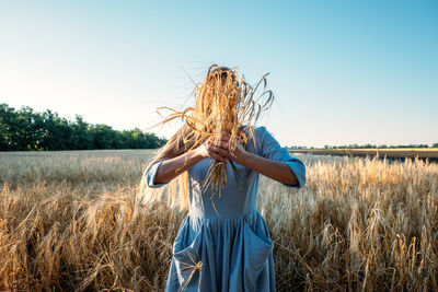 Ukrainian young woman holding wheat crop on field during sunny day. faceless portrait of