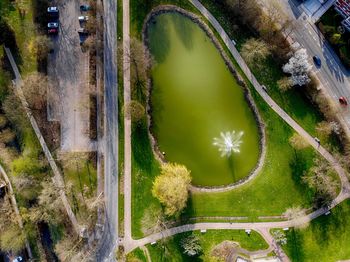 High angle view of plants by water