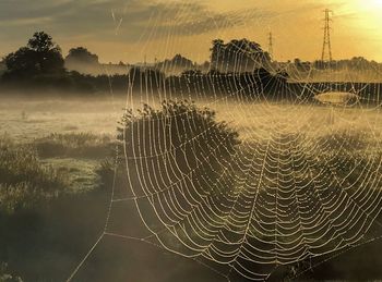 Close-up of spider web on field against sky