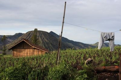 House on field by mt bromo against sky