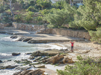 Rear view of hiking person standing on rocky coast by trees