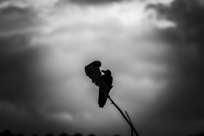 Low angle view of man against sky