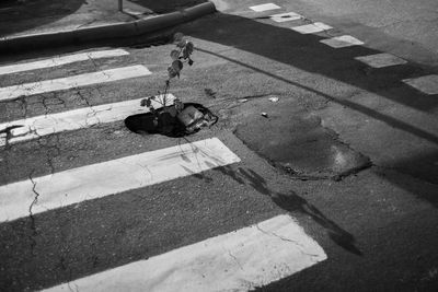 High angle view of bicycle on street