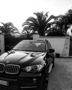 View of car on palm trees