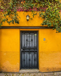 Closed door of yellow house