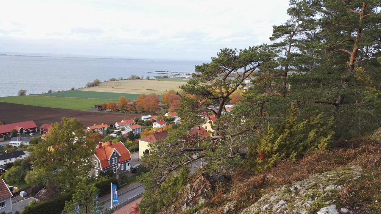 HIGH ANGLE VIEW OF PLANTS AND SEA AGAINST SKY