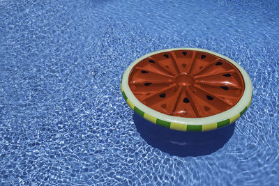 High angle view of fruit in swimming pool